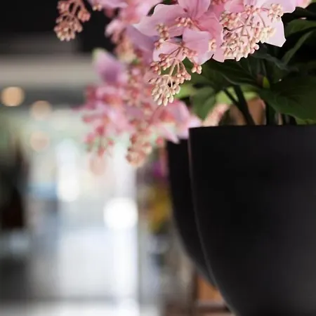 Ξενοδοχείο De Naaldhof 4*