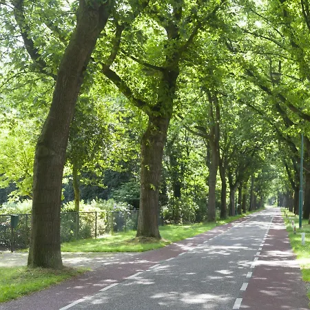 De Naaldhof 오스