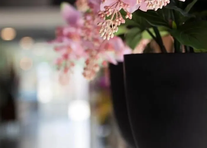 Hotel De Naaldhof 4*